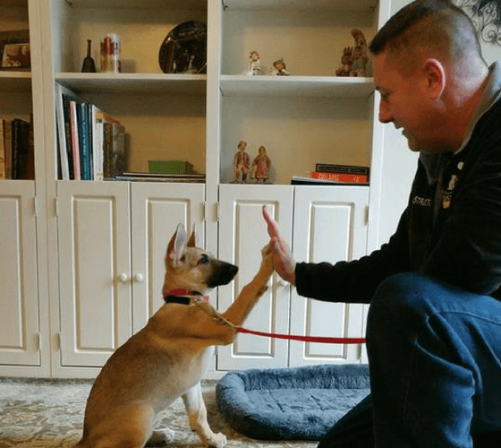 Training Programs Training Programs